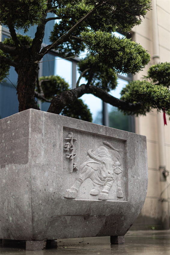 羅漢松盆-大型盆景盆1 - 副本.jpg