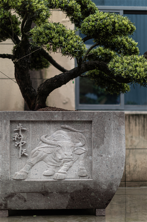 羅漢松盆-大型盆景盆2 - 副本.jpg