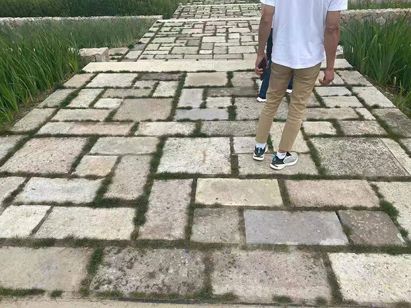 1671532752350039 - 副本.jpg