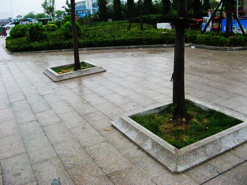 樹框3 - 副本.jpeg