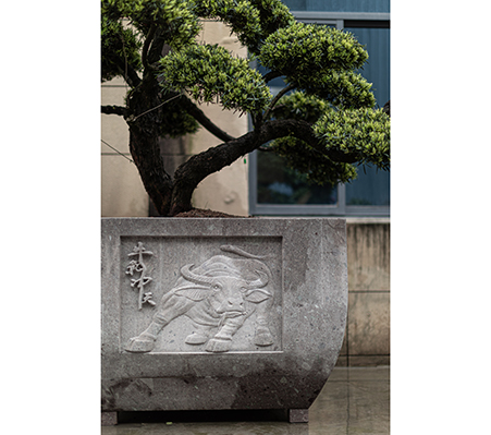 羅漢松盆-大型盆景盆-諸暨市越拓石材有限公司