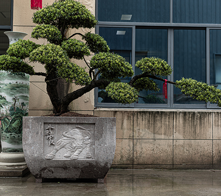 羅漢松盆-大型盆景盆-諸暨市越拓石材有限公司
